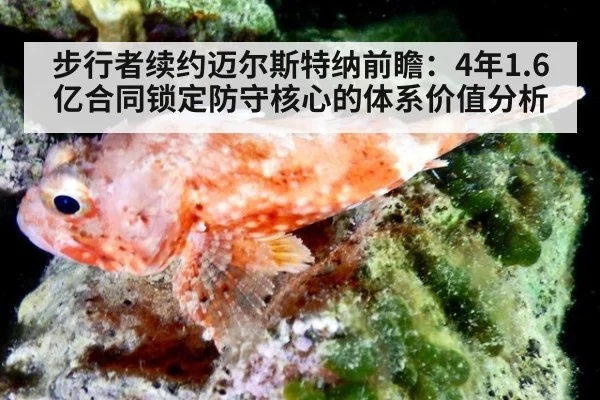 步行者续约迈尔斯特纳前瞻:4年1.6亿合同锁定防守核心的体系价值分析