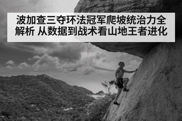 波加查三夺环法冠军爬坡统治力全解析 从数据到战术看山地王者进化
